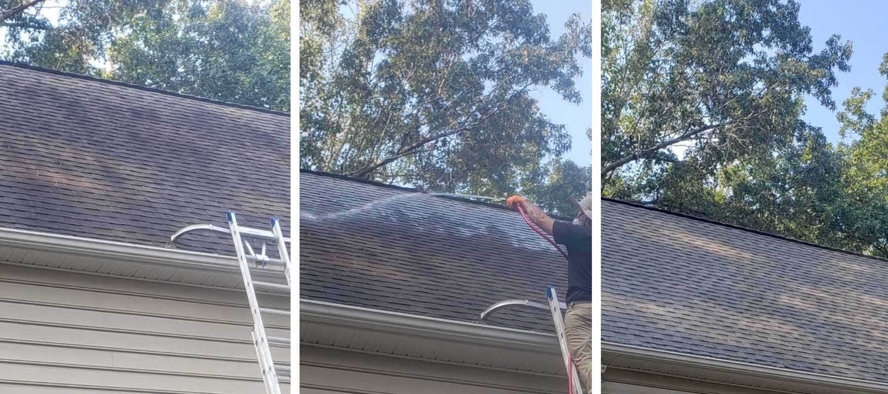 Roof-Cleaning